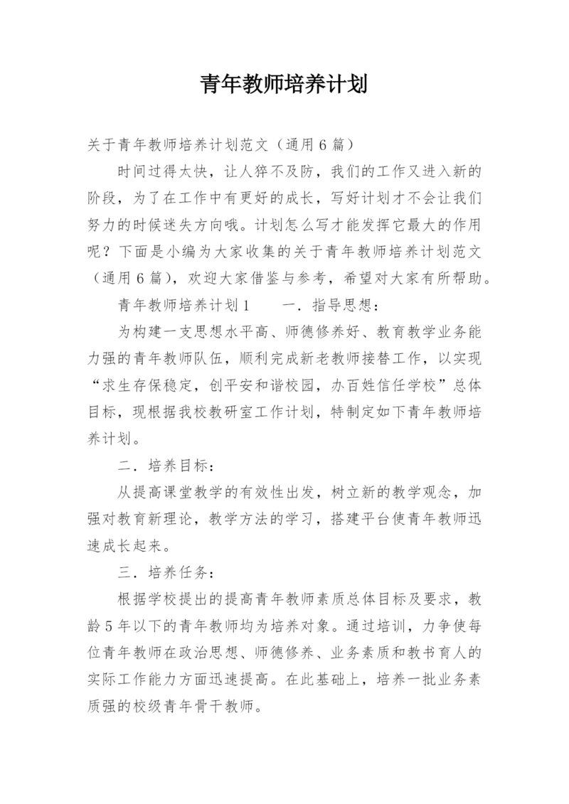 青年教师培养计划.docx