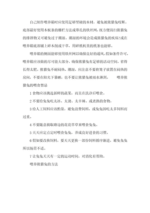 2021年喂养熊猫兔的方法熊猫兔