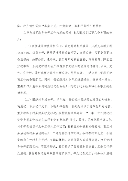 乡2023年年上半年政务公开工作总结