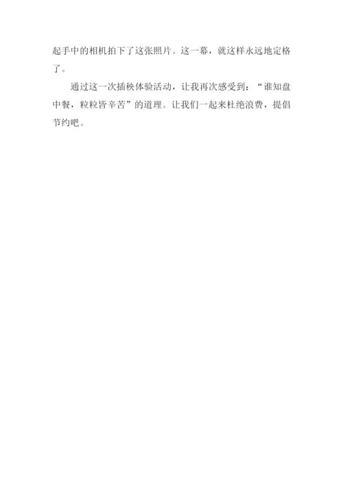 一张相片的故事作文500字.docx