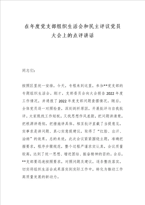 在年度党支部组织生活会和民主评议党员大会上的点评讲话