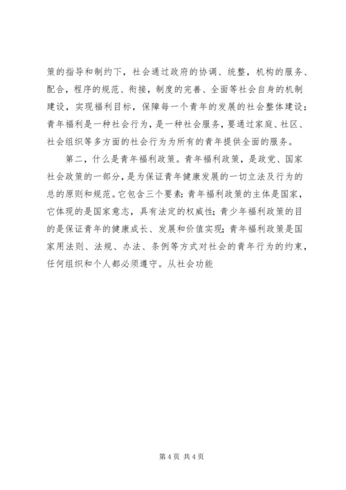 共青团与政府青年政策及事务 (2).docx