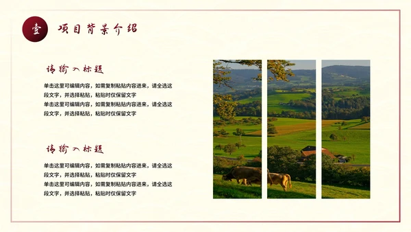 建设美丽乡村旅游商业计划书PPT模板