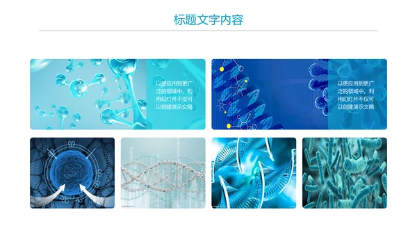 医疗细胞DNA研究报告PPT模板