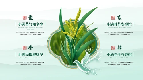 小满中国风教育教学通用模板PPT模板