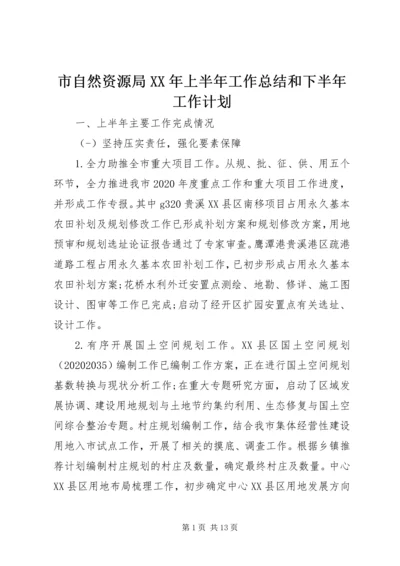 市自然资源局XX年上半年工作总结和下半年工作计划.docx