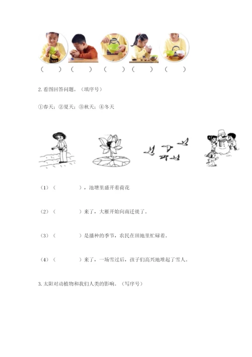 教科版二年级上册科学期末测试卷精品【基础题】.docx
