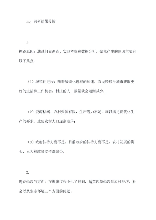 村级抛荒调研报告