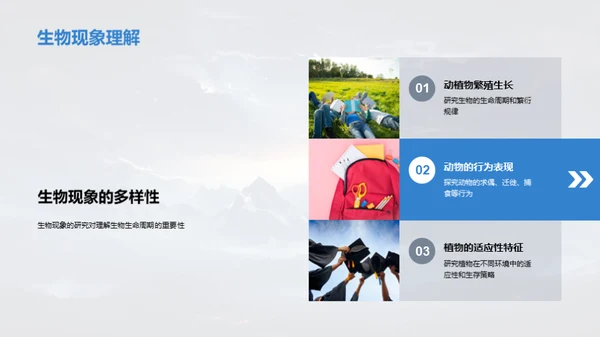 探秘自然现象