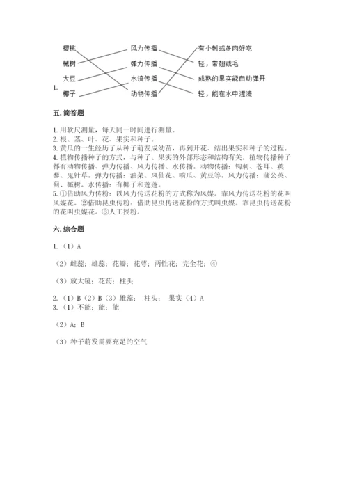 教科版四年级下册科学第一单元《植物的生长变化》测试卷附答案（精练）.docx