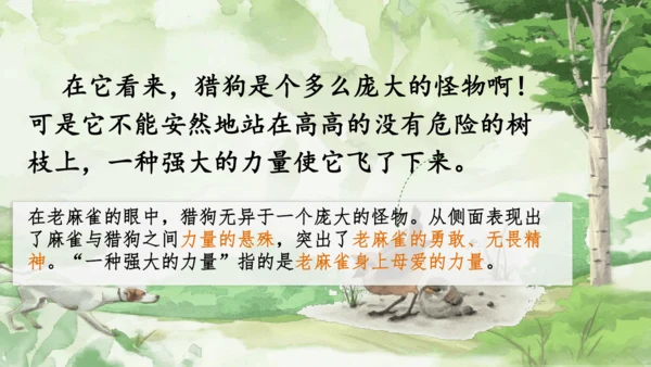 16 麻雀   课件