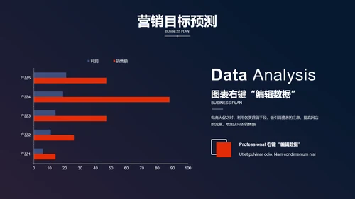 电商网购方案营销策划PPT模板