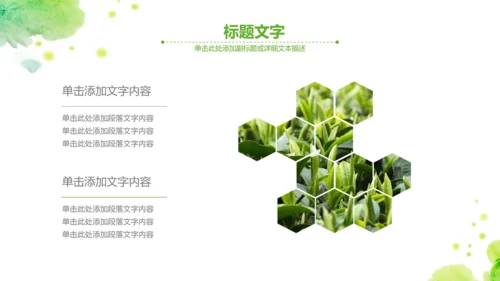 绿茶红茶茶叶茶厂茶文化茶道春茶PPT模板