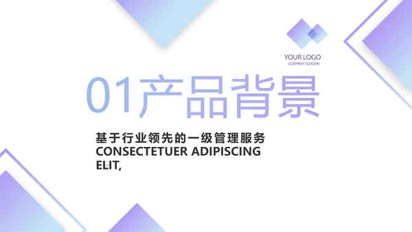 简约时尚大气公司产品介绍宣传PPT