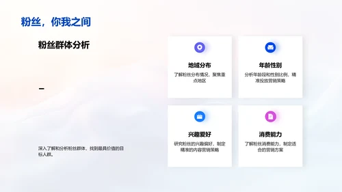 粉丝经济运营PPT模板