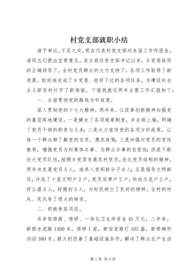 村党支部就职小结.docx