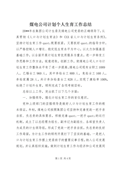 煤电公司计划个人生育工作总结.docx