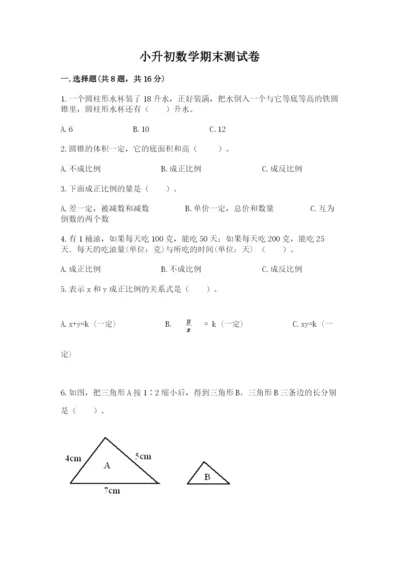 小升初数学期末测试卷精品（各地真题）.docx