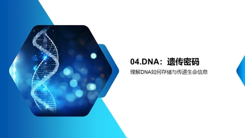 DNA：解读生命之源