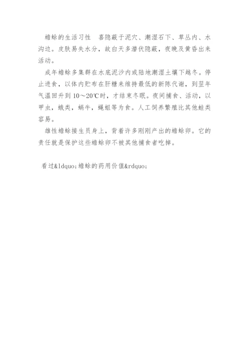 蟾蜍怎么养殖蟾蜍的药用价值.docx