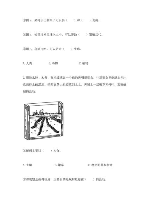 教科版二年级上册科学期末测试卷带答案（培优a卷）.docx
