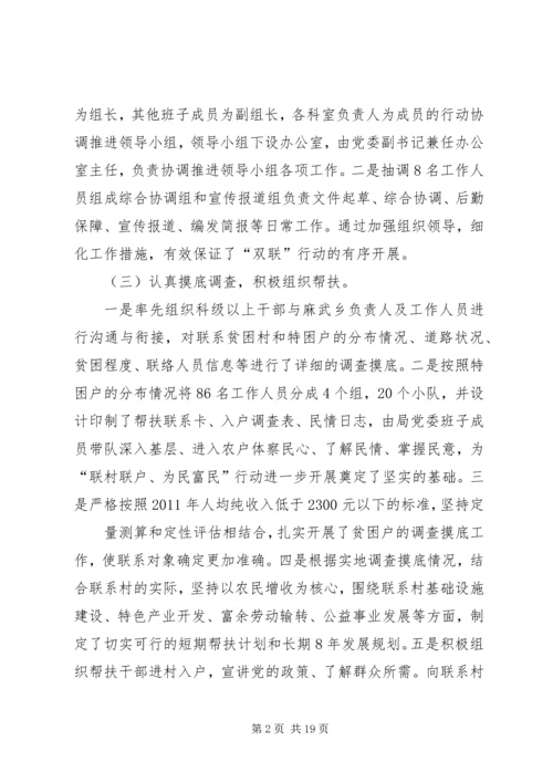 双联行动自查报告.docx