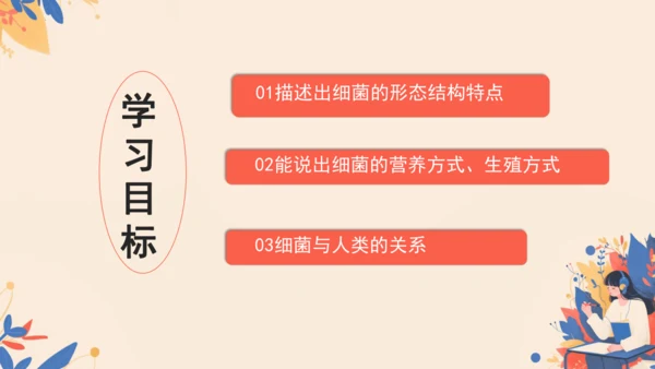 2.3.2细菌课件2024-2025学年人教版生物七年级上册(共18张PPT)