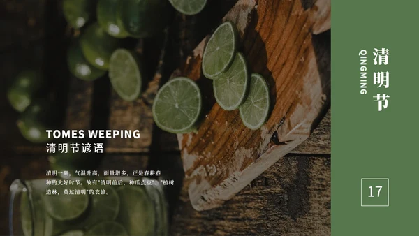 绿色大气清新绿植清明节主题PPT模板