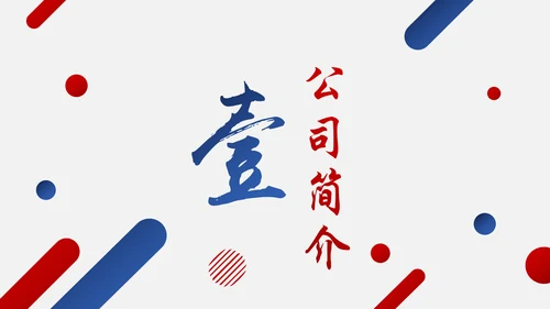 红蓝搭配创业商业融资计划书PPT模板