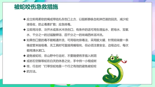 儿童夏今营活动方案PPT模板