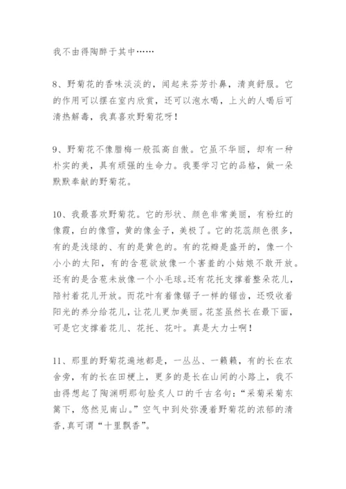描写野菊花的好词好句好段优美好段作文.docx