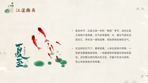 绿色淡雅中国风荷花荷叶中国二十四节气之夏至节气介绍PPT
