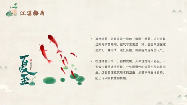 绿色淡雅中国风荷花荷叶中国二十四节气之夏至节气介绍PPT