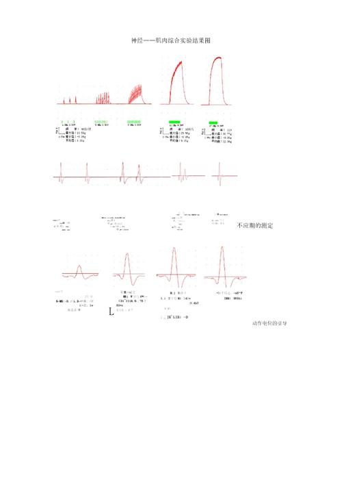 神经肌肉综合实验