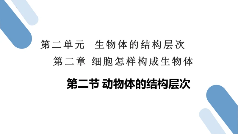 2.2.2 动物体的结构层次-2023-2024学年七年级生物上学期备课课件（人教版）(共26张PP