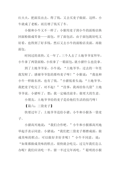三袋麦子的作文.docx