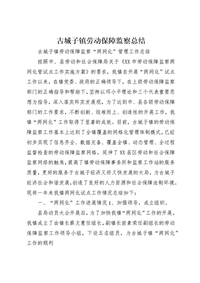 古城子镇劳动保障监察总结