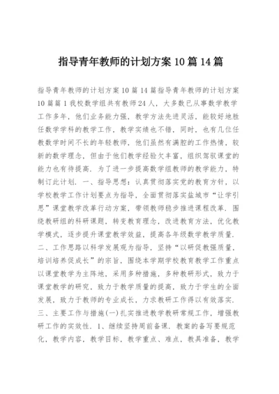 指导青年教师的计划方案10篇14篇.docx