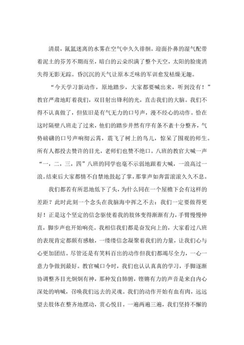 初一新生军训心得体会(15篇) (3).docx