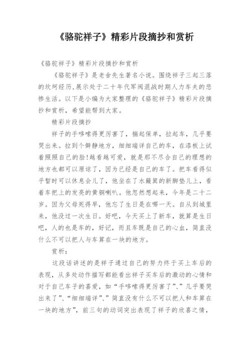 《骆驼祥子》精彩片段摘抄和赏析.docx