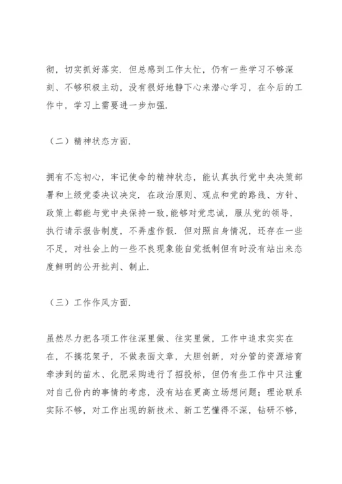 年度组织生活会个人发言提纲(含上年度问题整改落实情况).docx
