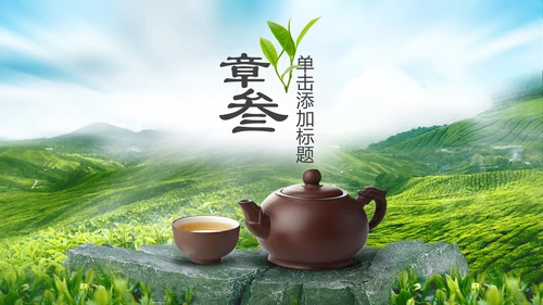 茶文化茶叶绿茶产品介绍动态PPT模板