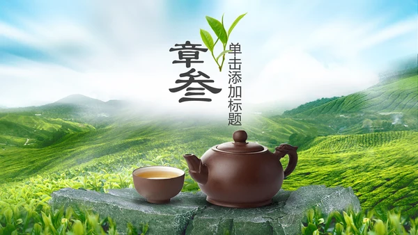 茶文化茶叶绿茶产品介绍动态PPT模板