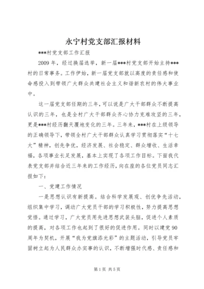 永宁村党支部汇报材料 (4).docx