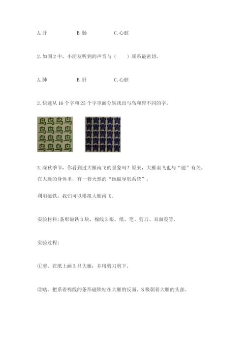 教科版小学科学二年级下册期末测试卷一套.docx