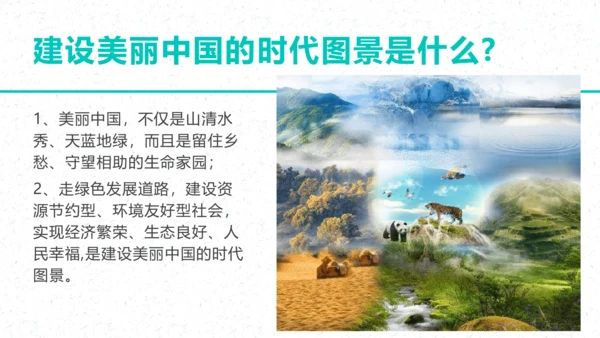6.2共筑生命家园  课件 （共20张PPT）