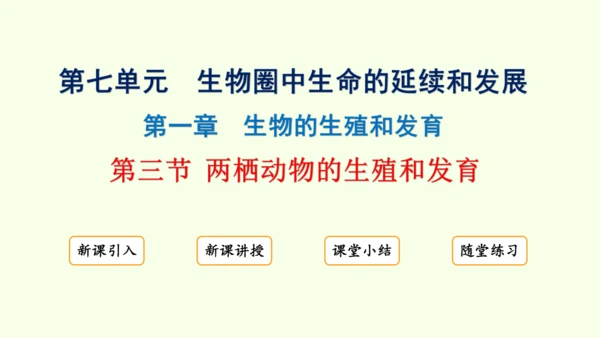 7.1.3两栖动物的生殖和发育-八年级生物人教版下学期同步精品课件(共31张PPT)