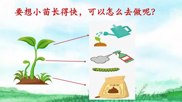 12寓言二则《揠苗助长》课件