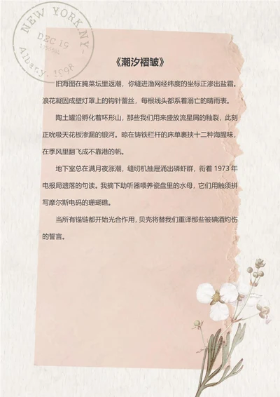 粉色手绘银莲花信纸