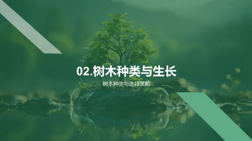 植树环保的探究